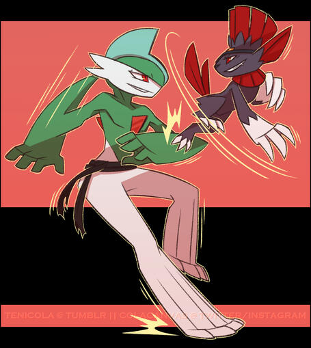 Valor (Gallade) and Nari (Weavile) Sparring