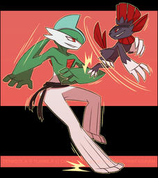 Valor (Gallade) and Nari (Weavile) Sparring