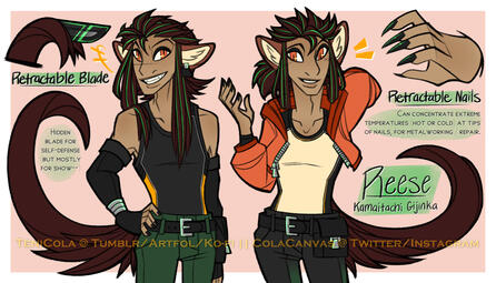 Reese Design Revisited